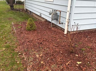 Leaf Removal by James Serio for Christine S. in Rochester, NY