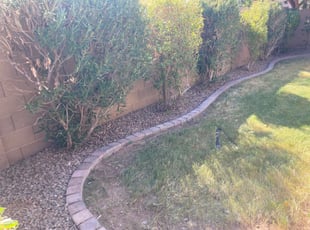 Bush Trimming by Maria Gonzalez for Jinglun L. in Chandler, AZ