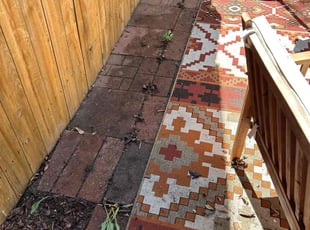 Leaf Removal by Adameus Marcum for Melissa K. in Denver, CO
