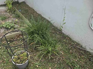 Cleanups by Sean Hendrickson for Step L. in Tampa, FL