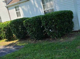 Bush Trimming by Timothy Peak for Rory P. in Nashville, TN