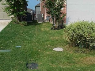 James W.'s Yard Cutting service result