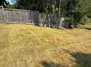 Cleanups by Erick Vasquez for Davarius A. in Seattle, WA