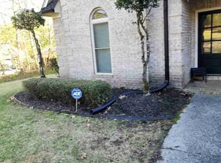Bush Trimming by James Crunk for Caitlin R. in Arlington, TN