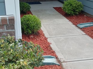 Bush Trimming by Cassandra Blackson for Lori G. in Huntersville, NC