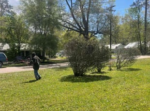 Bush Trimming by Michael Martin for Laura D. in Covington, LA