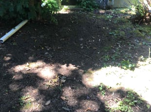 Leaf Removal by John Taylor for Ryan B. in Portland, OR