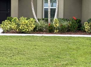Bush Trimming by Arthur Grant for CRAIG M. in Port St. Lucie, FL