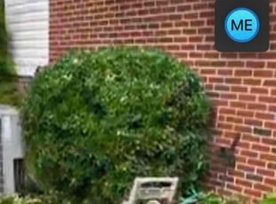 Bush Trimming by Chris Kearse for Aaron C. in Columbus, GA