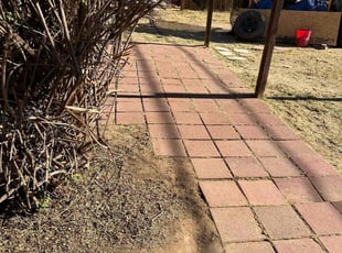 Bush Trimming by Arnold Cano for Hiram D. in Phoenix, AZ