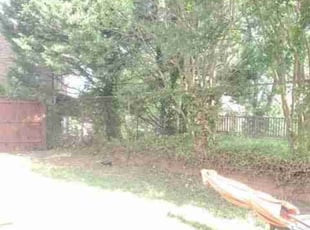Cleanups by Chris Stewart for Rosha P. in Washington, DC
