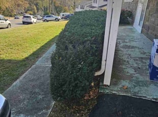 Bush Trimming by Jerrel Kenon for James W. in Fort Washington, MD