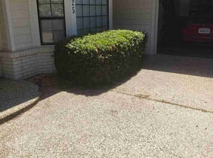 Bush Trimming by Thomas Mudd for Lynda E. in Folsom, CA
