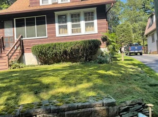 Bush Trimming by Dakota Cox for Bernadette E. in Shavertown, PA