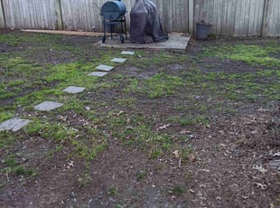Leaf Removal by Billy Evans for Travis P. in Ridgeland, MS