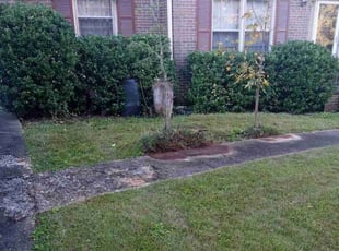 Bush Trimming by Eddie Hicks for Susan A. in Clarkston, GA