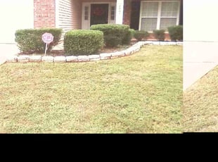 Bush Trimming by Xavier Monroe for David F. in Charlotte, NC