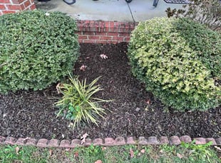 Weeding by Yehoshua Israel for Judith G. in Newport News, VA