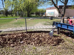 Leaf Removal by Zachary Rendon for Jeff H. in Austin, TX