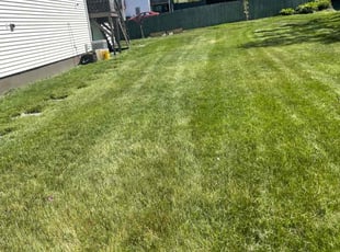 Cleanups by Steve Valverde for Carlene F. in Central Falls, RI