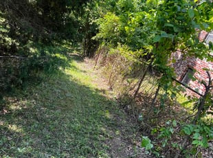 Bush Trimming by Andrew Austin for Charnel C. in Dallas, NC