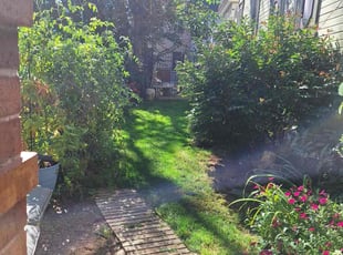 Robert L.'s Yard Cutting service result