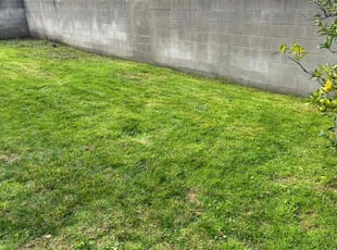John P.'s Lawn Maintenance service result
