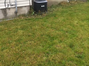 Leaf Removal by Jerome Glenn for Patricia H. in Milwaukee, WI