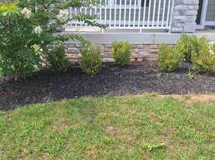Weeding by Ryan Shaheen for Brandon M. in Owings Mills, MD