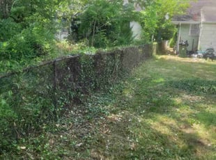 Cleanups by Mike Williams for Trejon T. in Richmond, VA