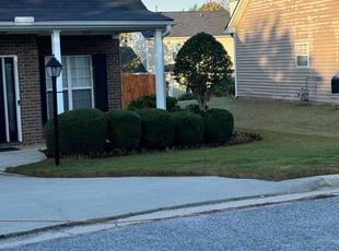 Euphrates Y.'s Lawn Service service result