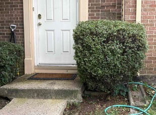 Demetrious C.'s Bush Trimming service result