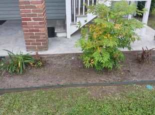 Weeding by Akeem Lewis for Phala M. in New Orleans, LA