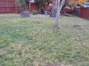 Cleanups by Samantha Lingenfelter for Stephanie M. in Escondido, CA