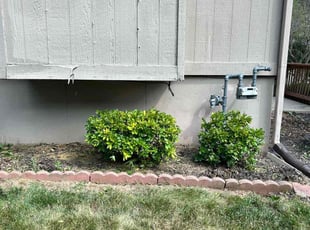 Bush Trimming by Duane Lockyer for Shaun B. in Lee's Summit, MO