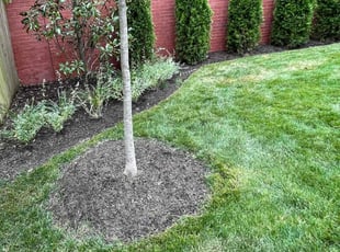 Leaf Removal by Fidel Rodriguez for Kaleen A. in Arlington, VA