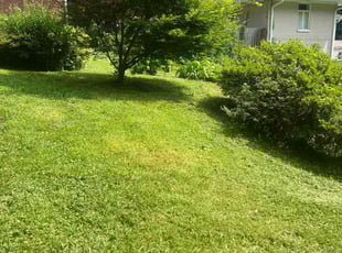 Cleanups by Toni Feaster for Michelle M. in Clarkston, GA