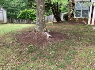 Leaf Removal by Shannon Bond for Philip P. in Kennesaw, GA