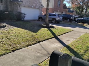 Leaf Removal by Jesus Fortanel for Brittany L. in Spring, TX