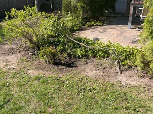 Cleanups by Tywuan Williams for Megan G. in Fishers, IN