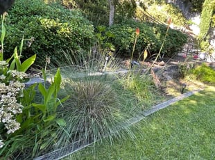 Cleanups by Gabriel Aldrete for Nick H. in Rocklin, CA
