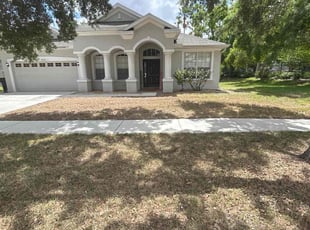 Leaf Removal by Ramon Taguja for Teresa C. in Riverview, FL