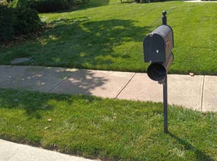 Chad S.'s Lawn Care service result