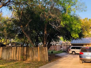 Leaf Removal by Denise Maza for Chris W. in Corpus Christi, TX