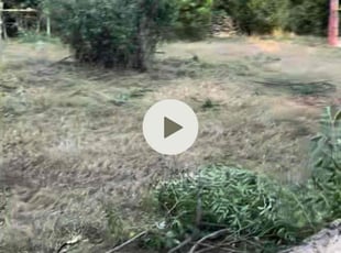 Cleanups by Marlain Jones for Rachael T. in Watauga, TX
