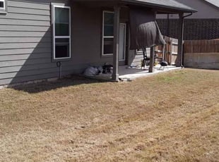 Cleanups by Michael Anthony for AJ O. in New Braunfels, TX