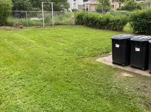 Jonnah O.'s Grass Cutting service result
