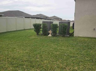 Bush Trimming by David Harding for Nicole G. in Ruskin, FL