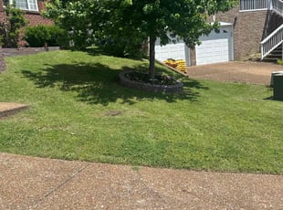 Leslie R.'s Lawn Mowing service result