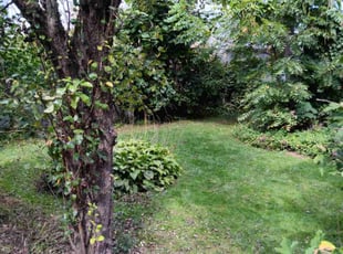 Linda A.'s Lawn Service service result
